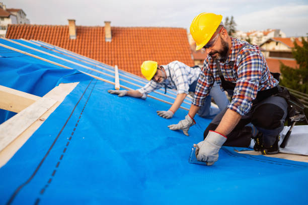 Best Roof Maintenance Services  in Chillicothe, MO